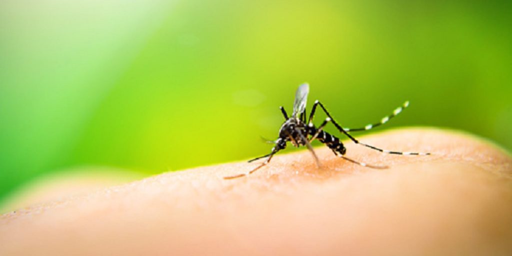 Control de Zika a tu Alcance